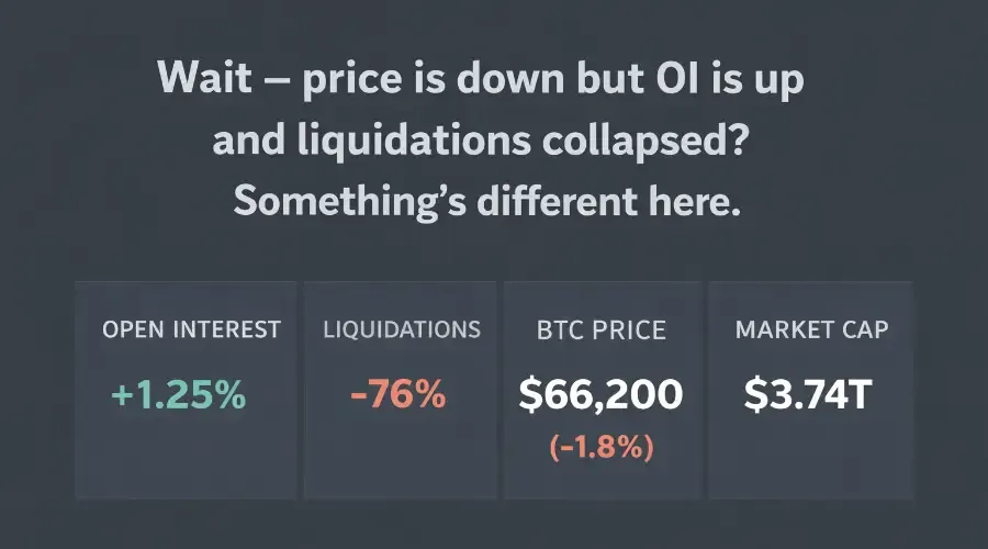 Bitcoin Dips While Open Interest Rises and Liquidations Collapse